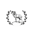 Ehsas ul Haiwanat icon